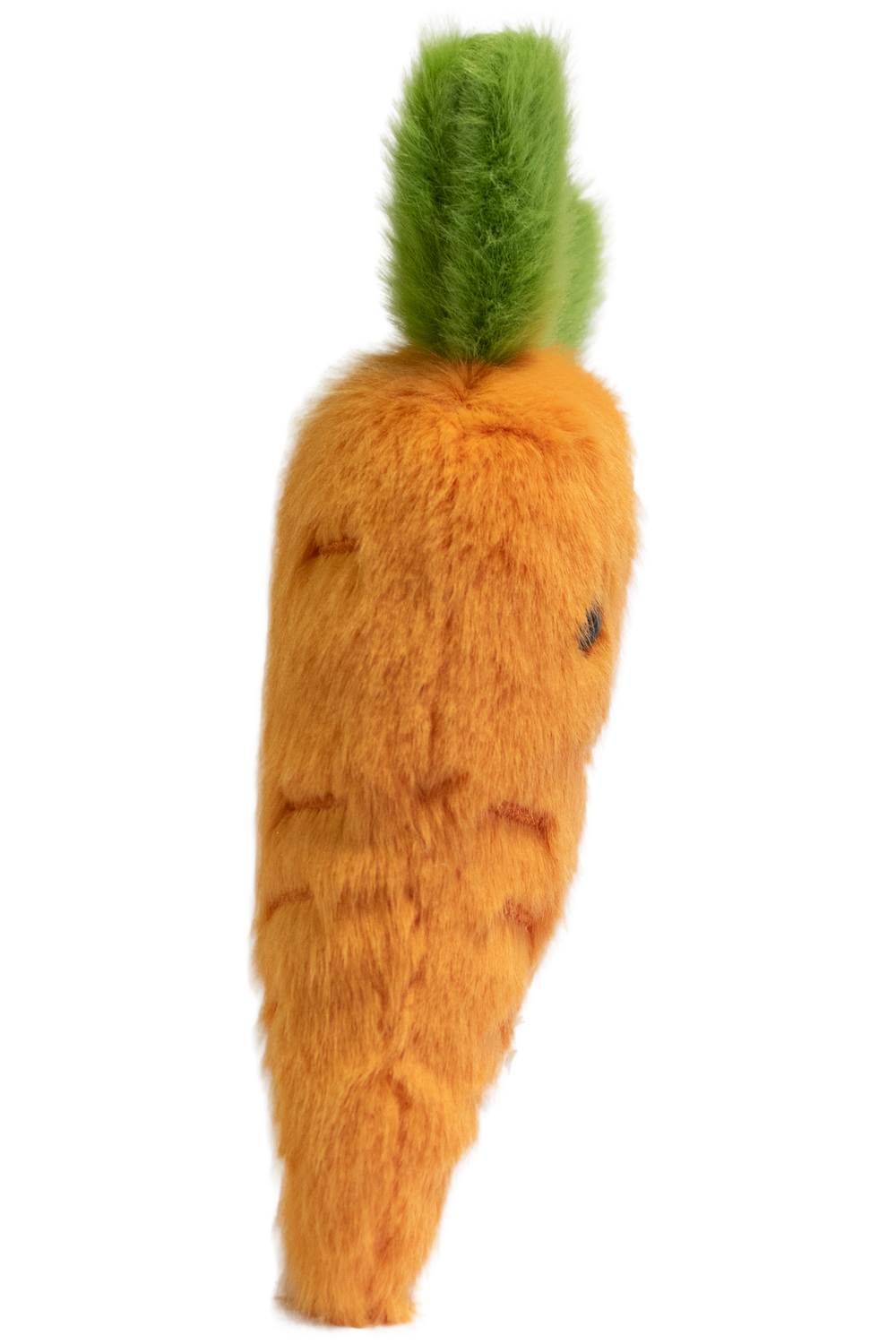 Garden Friends Carrot