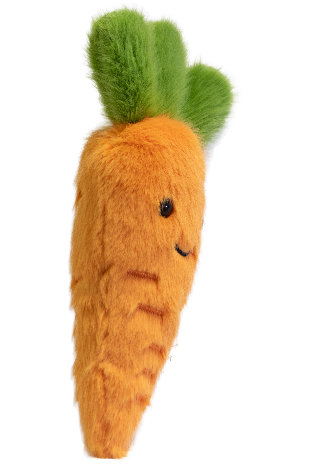 Garden Friends Carrot