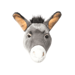 Francis the donkey