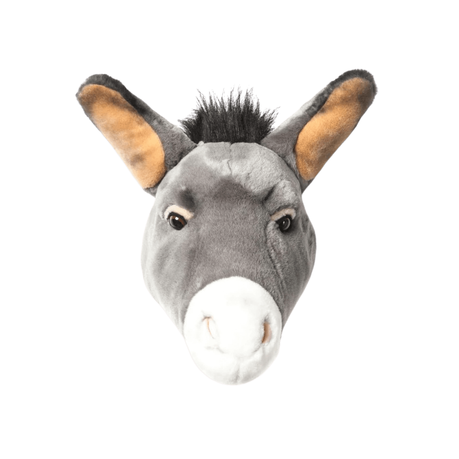 Francis the donkey