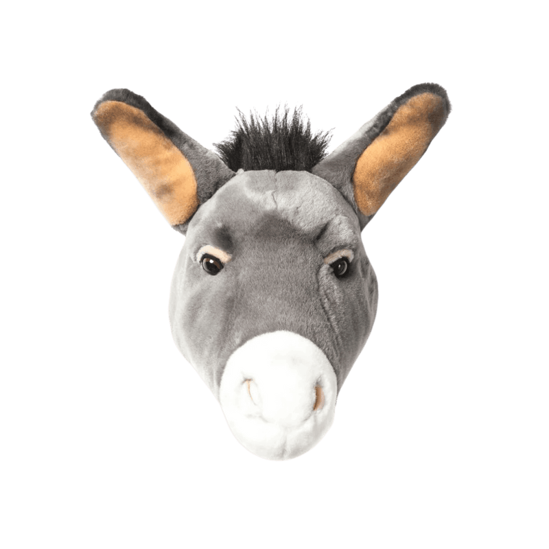 Francis the donkey