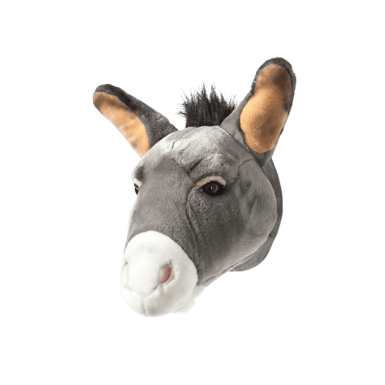 Francis the donkey