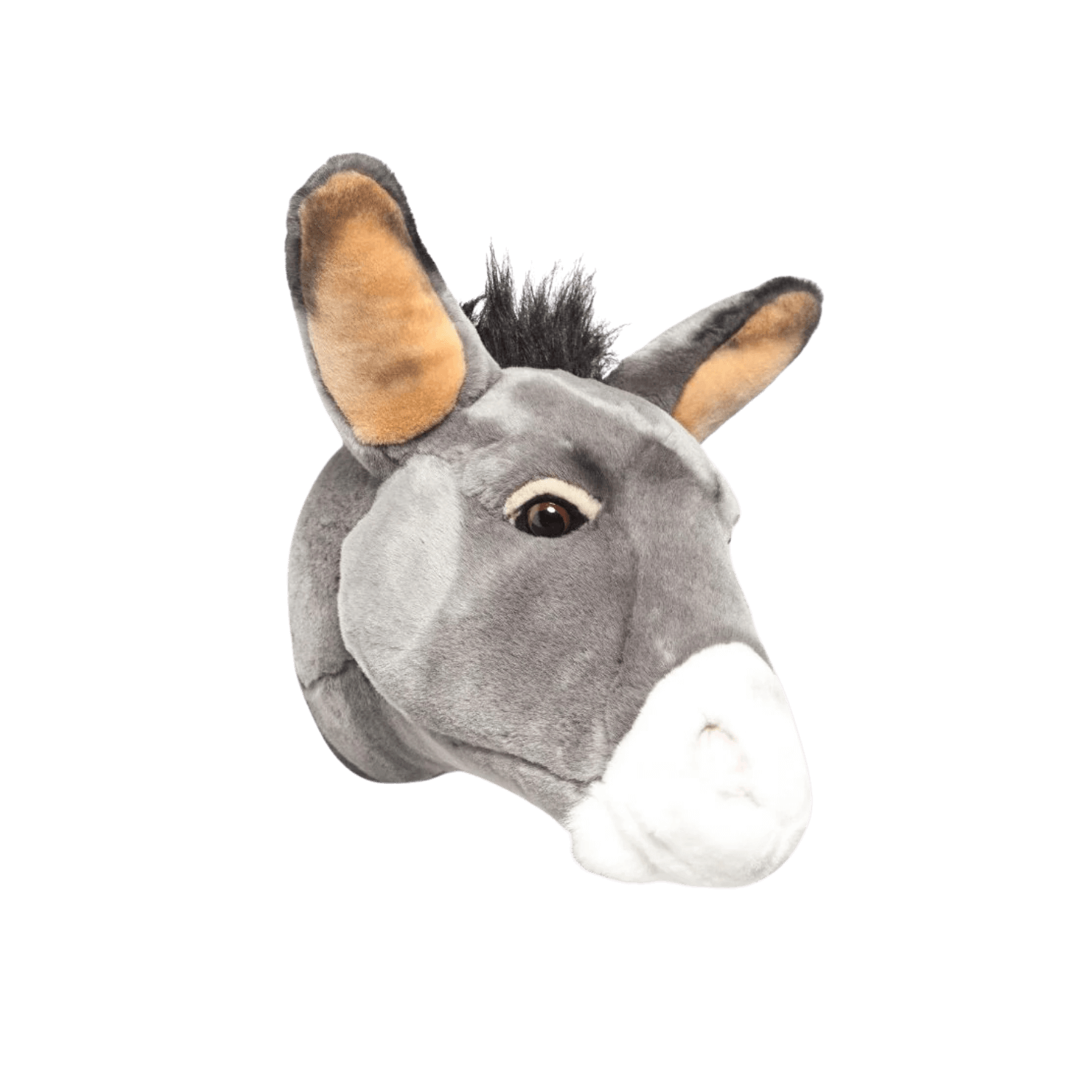 Francis the donkey