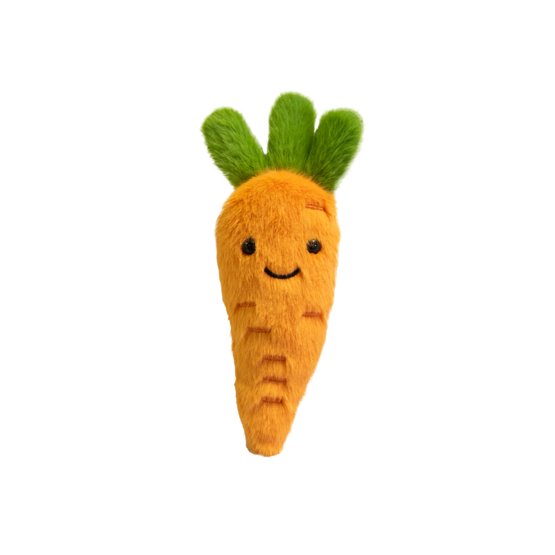 Garden Friends Carrot