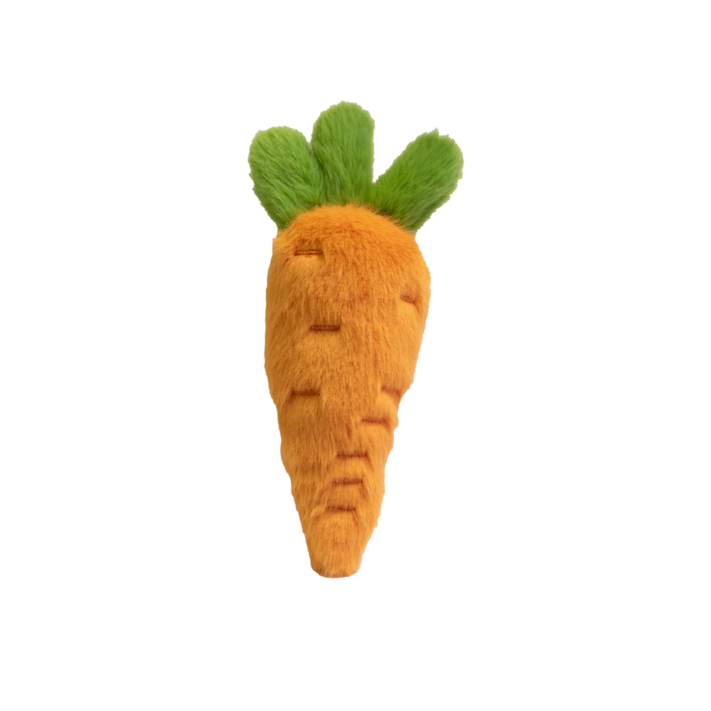Garden Friends Carrot