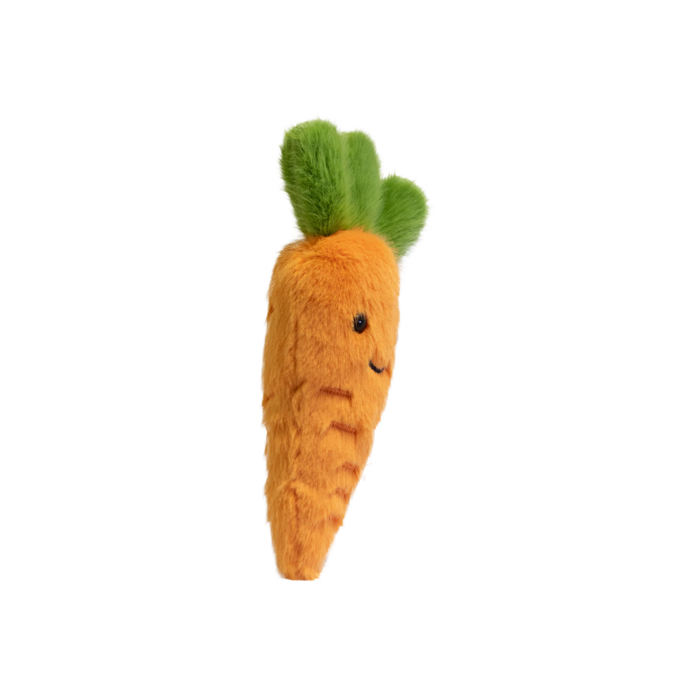 Garden Friends Carrot