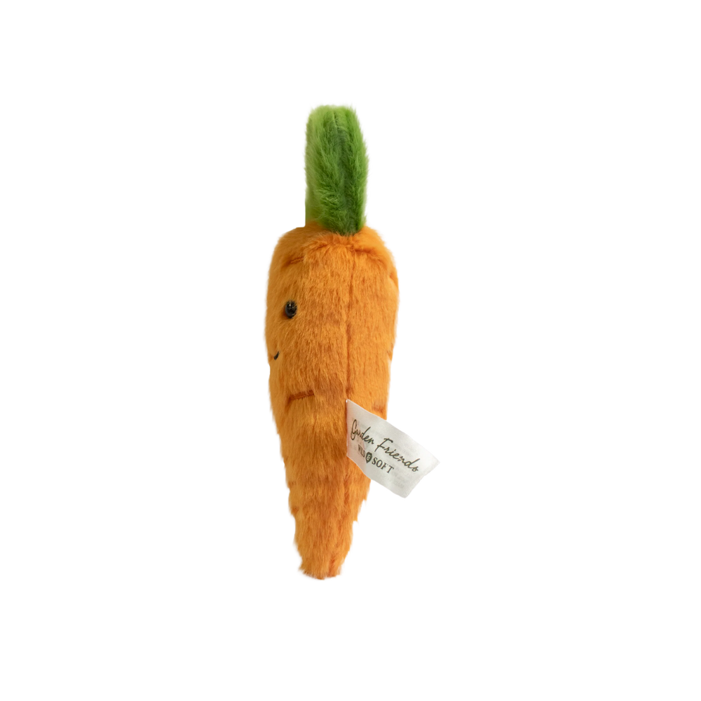 Garden Friends Carrot