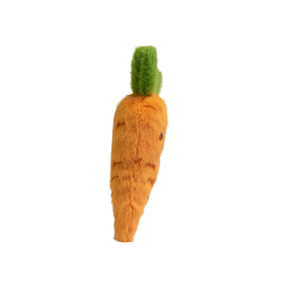 Garden Friends Carrot