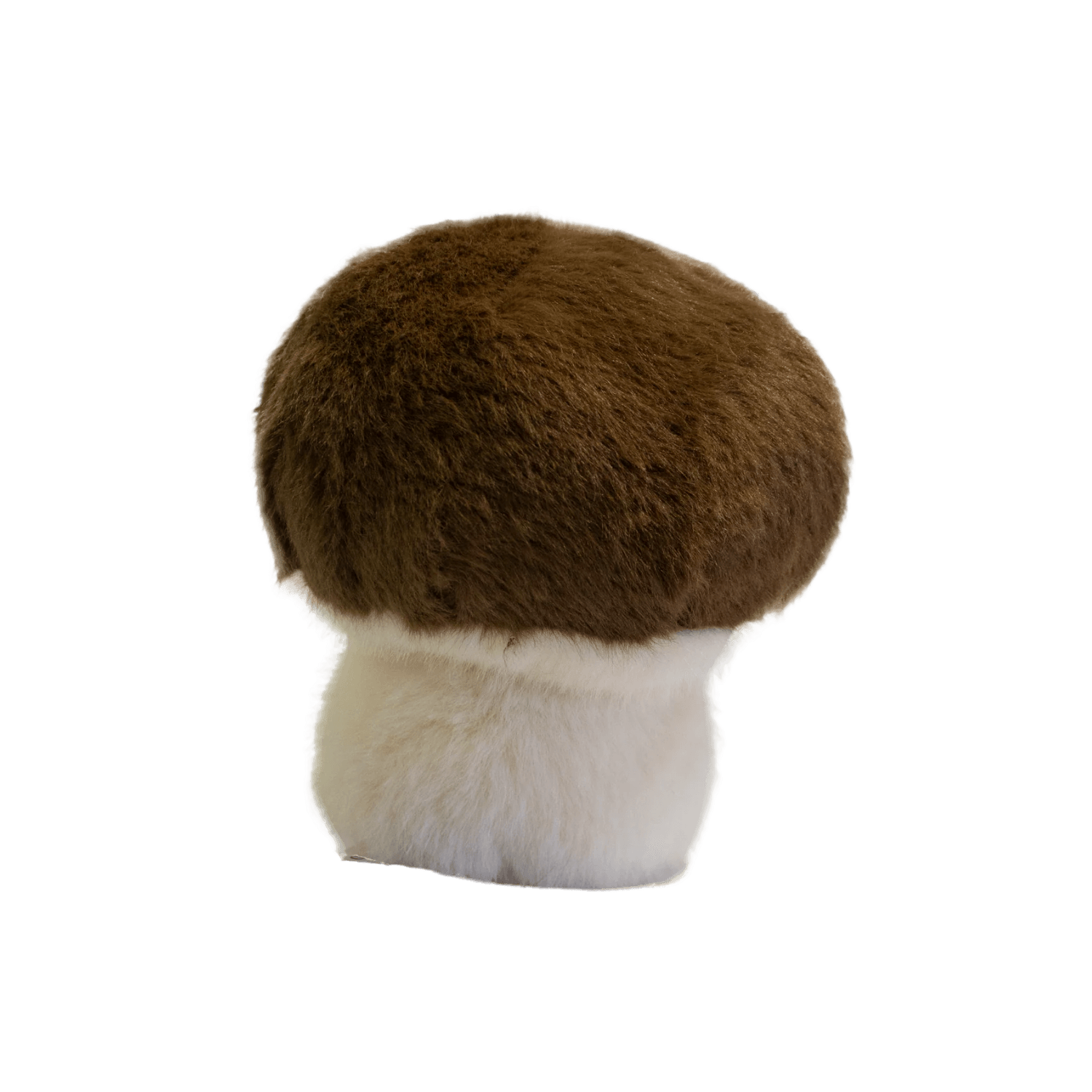 Garden Friends Mushroom