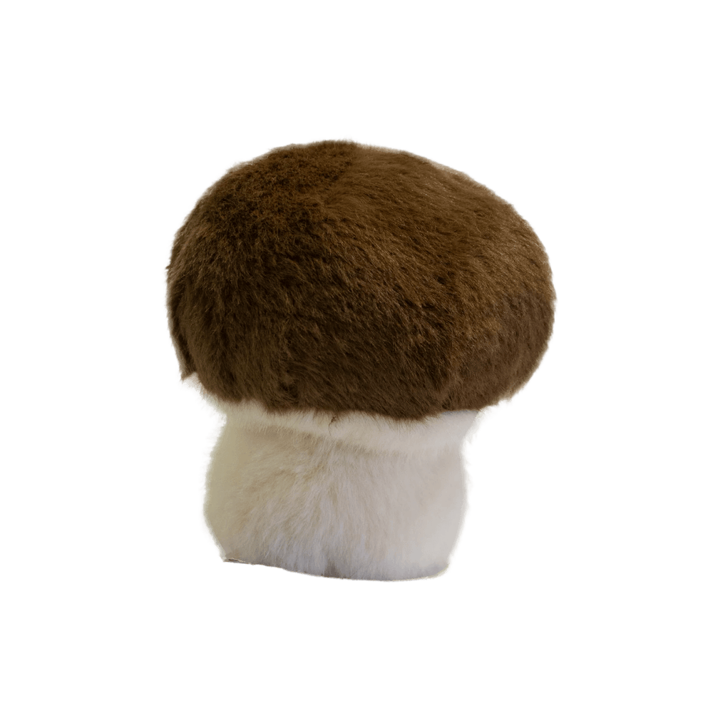 Garden Friends Mushroom