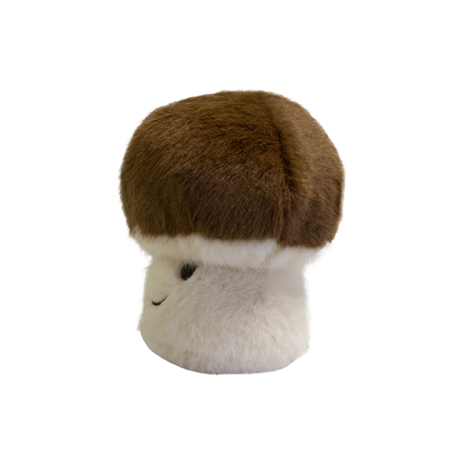 Garden Friends Mushroom