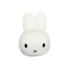 Large head Miffy