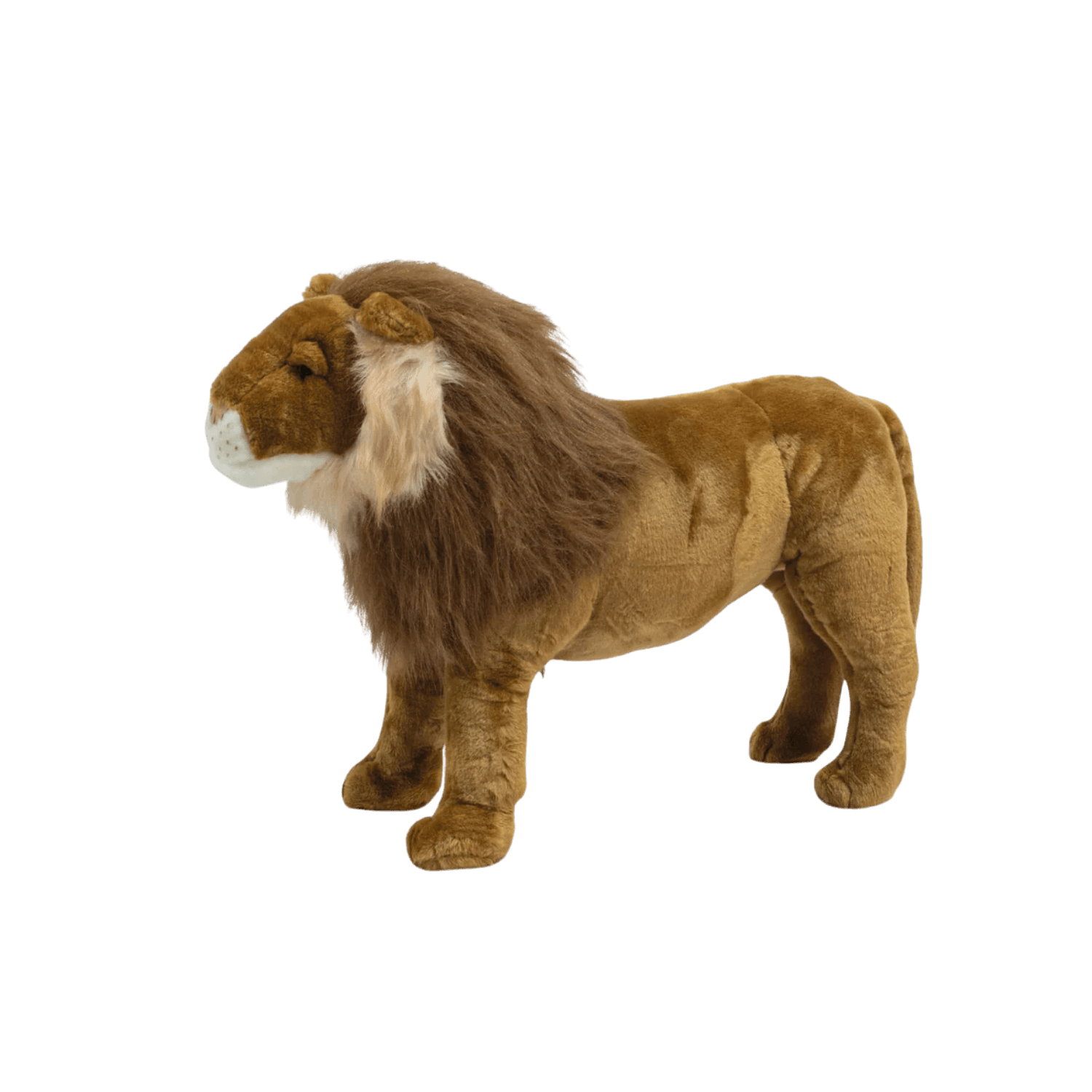 Lion 56 cm