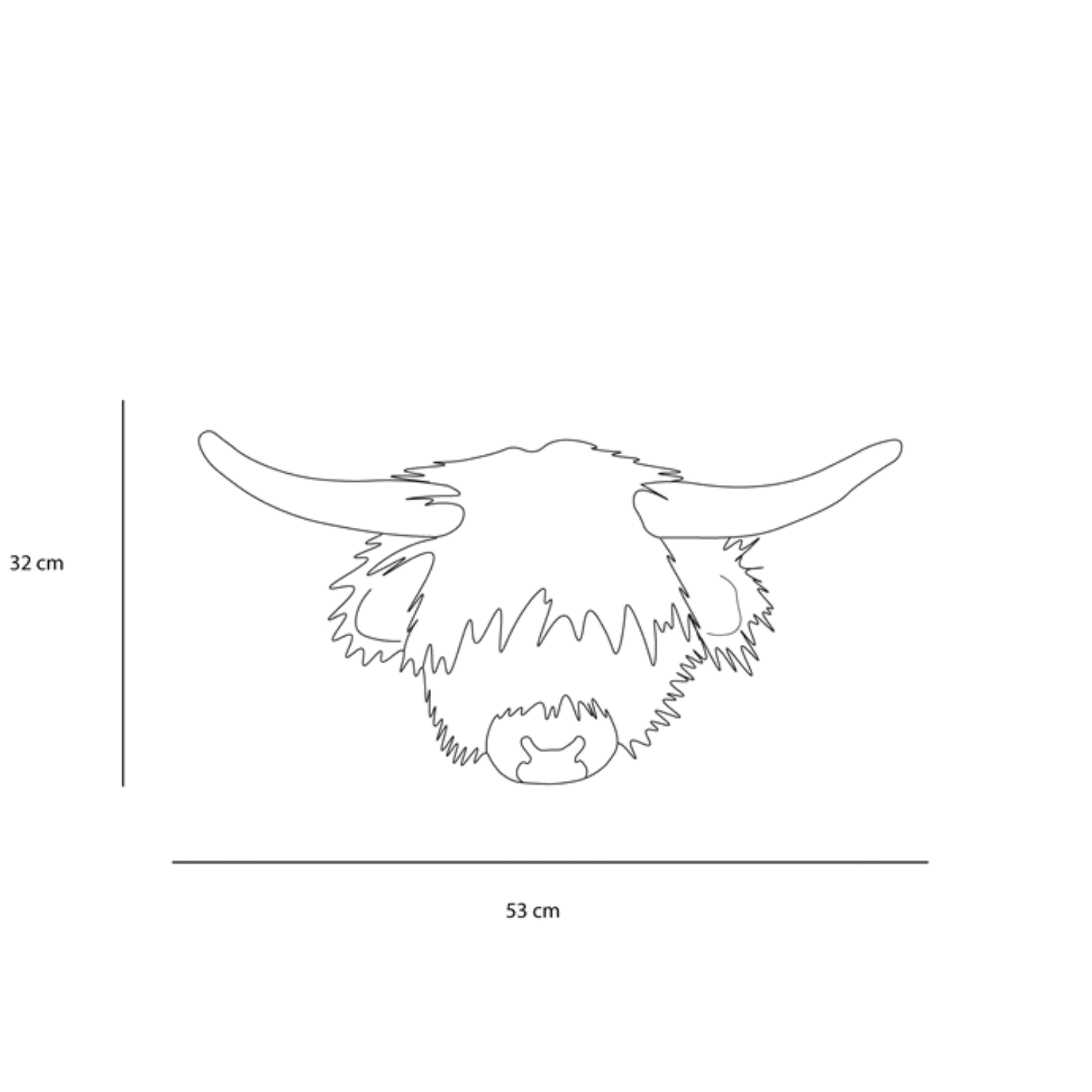 Nicolas the Highland cow