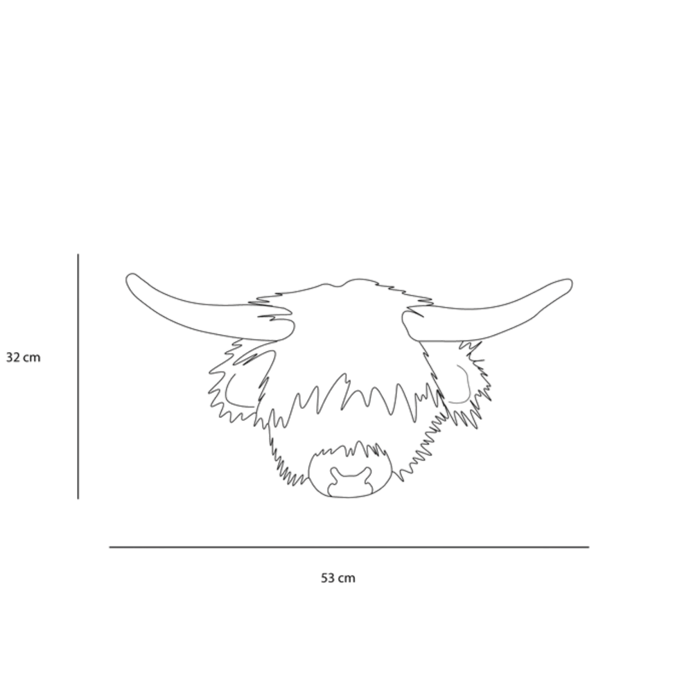 Nicolas the Highland cow