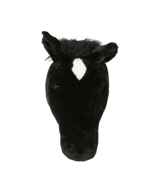 Peter the black horse