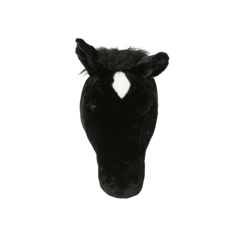 Peter the black horse