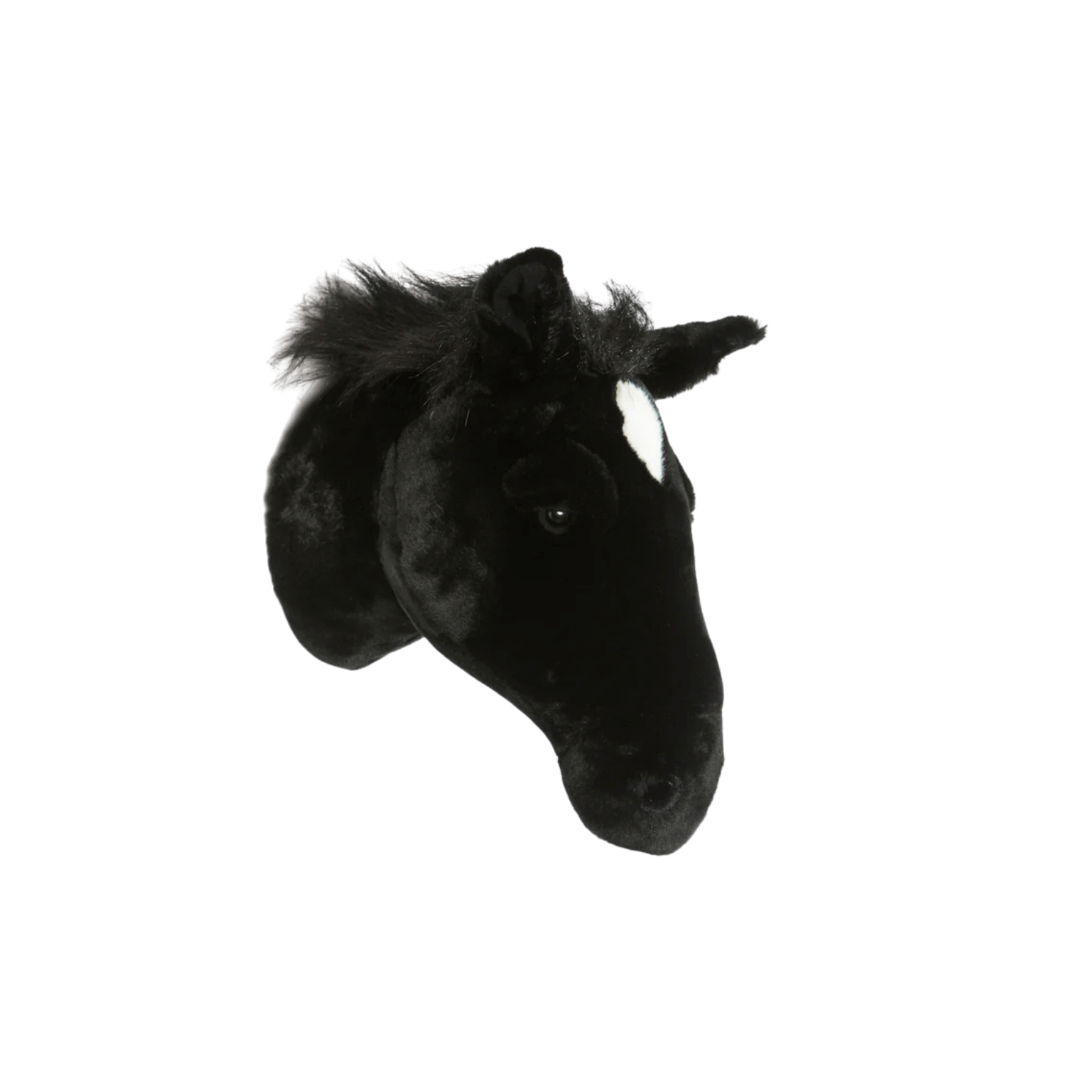 Peter the black horse