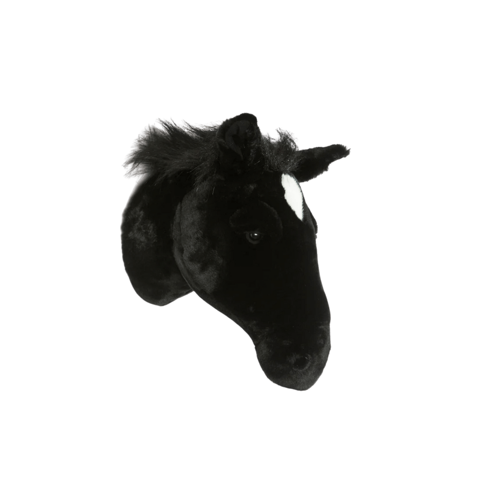 Peter the black horse