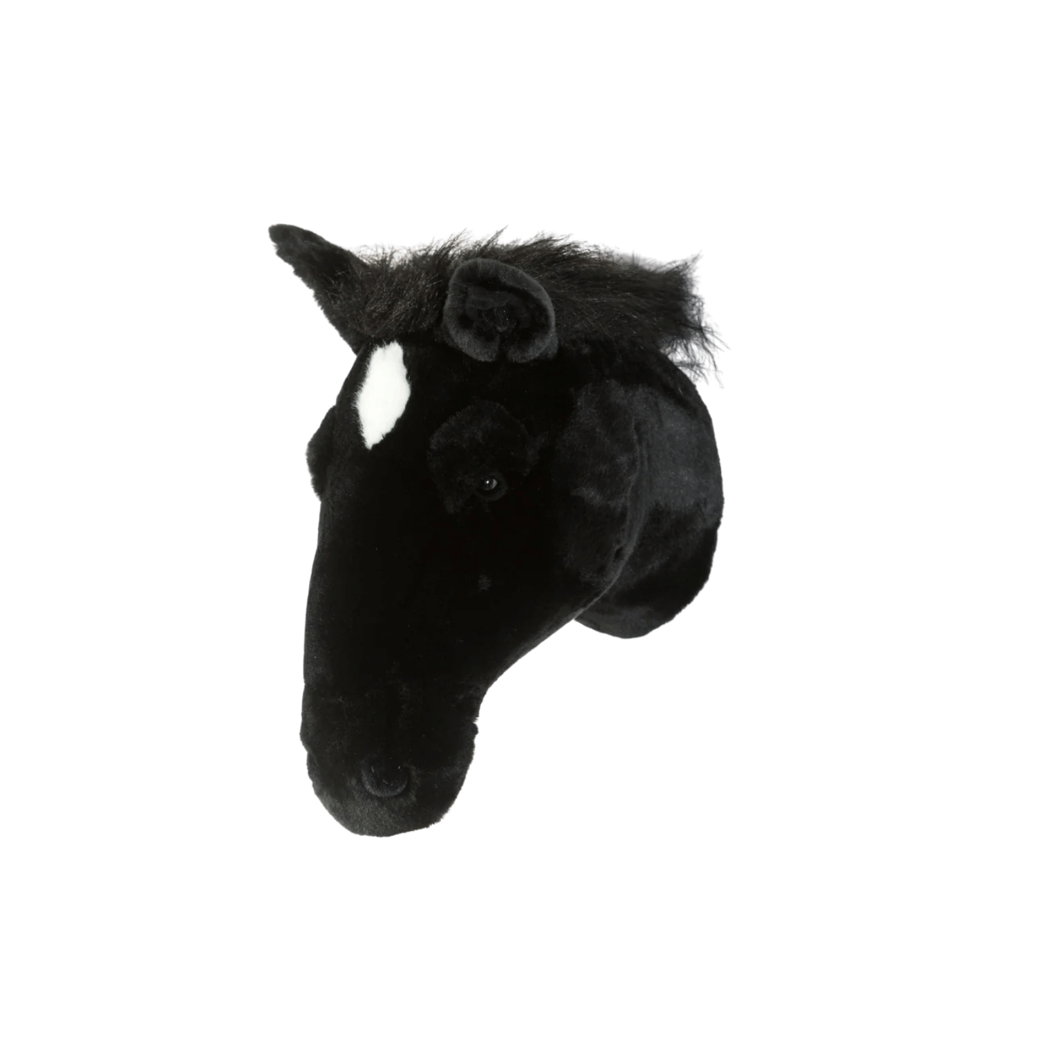 Peter the black horse
