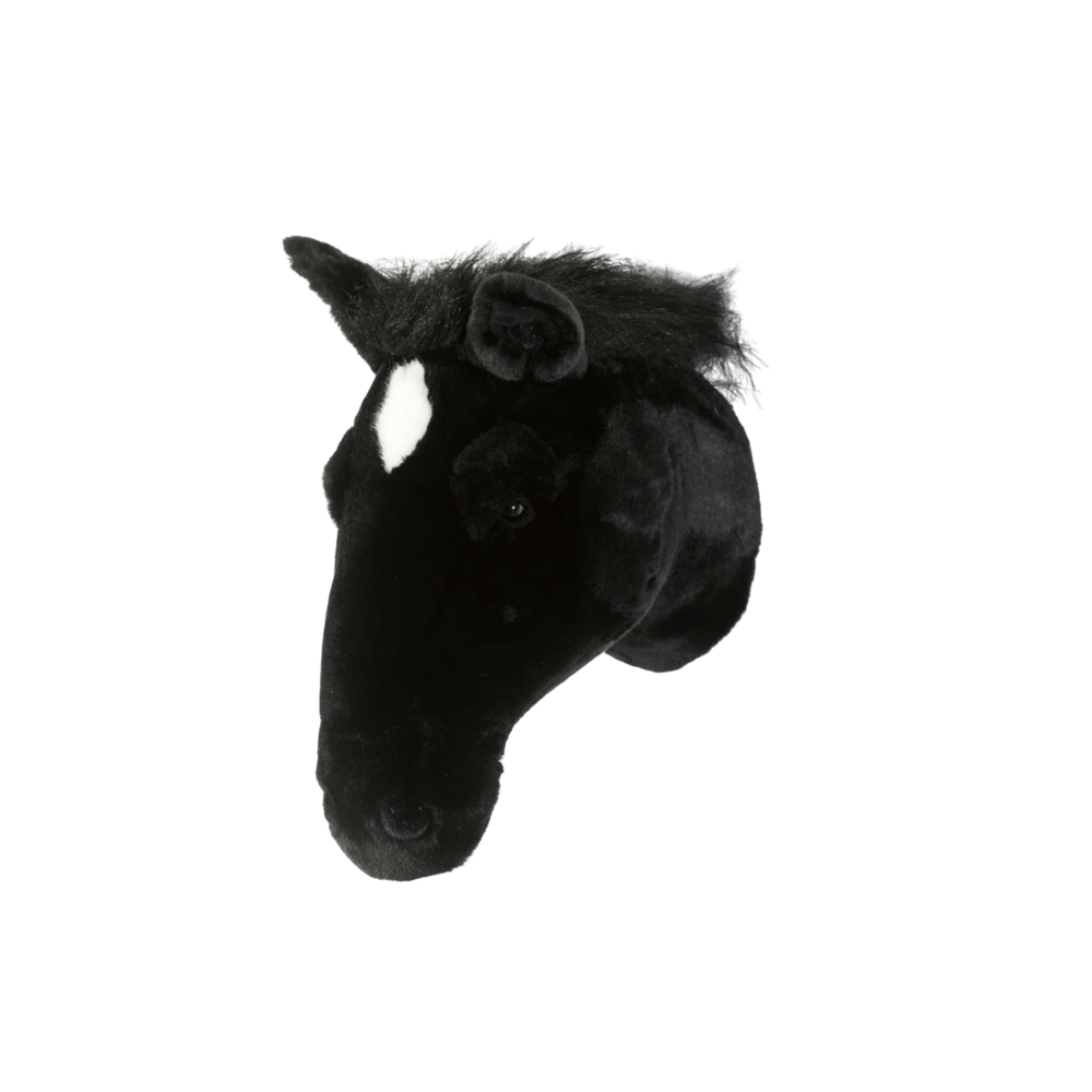 Peter the black horse
