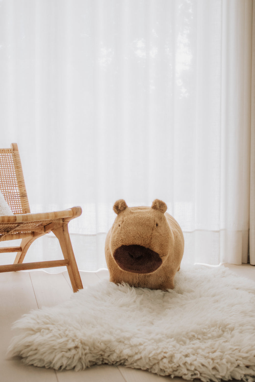 Soft Bouncy Capybara