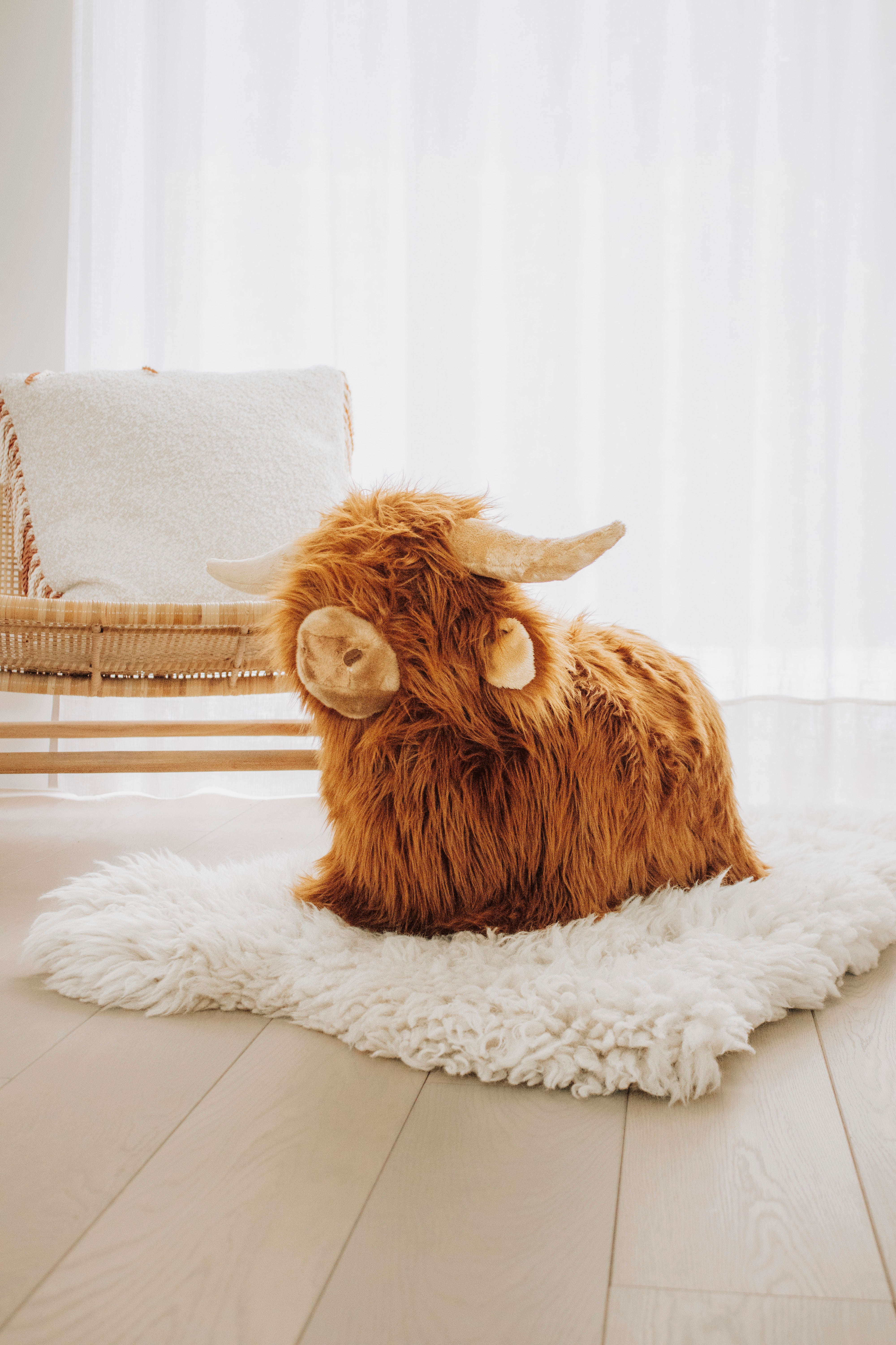 Soft Bouncy Highland Cow – Wild & Soft