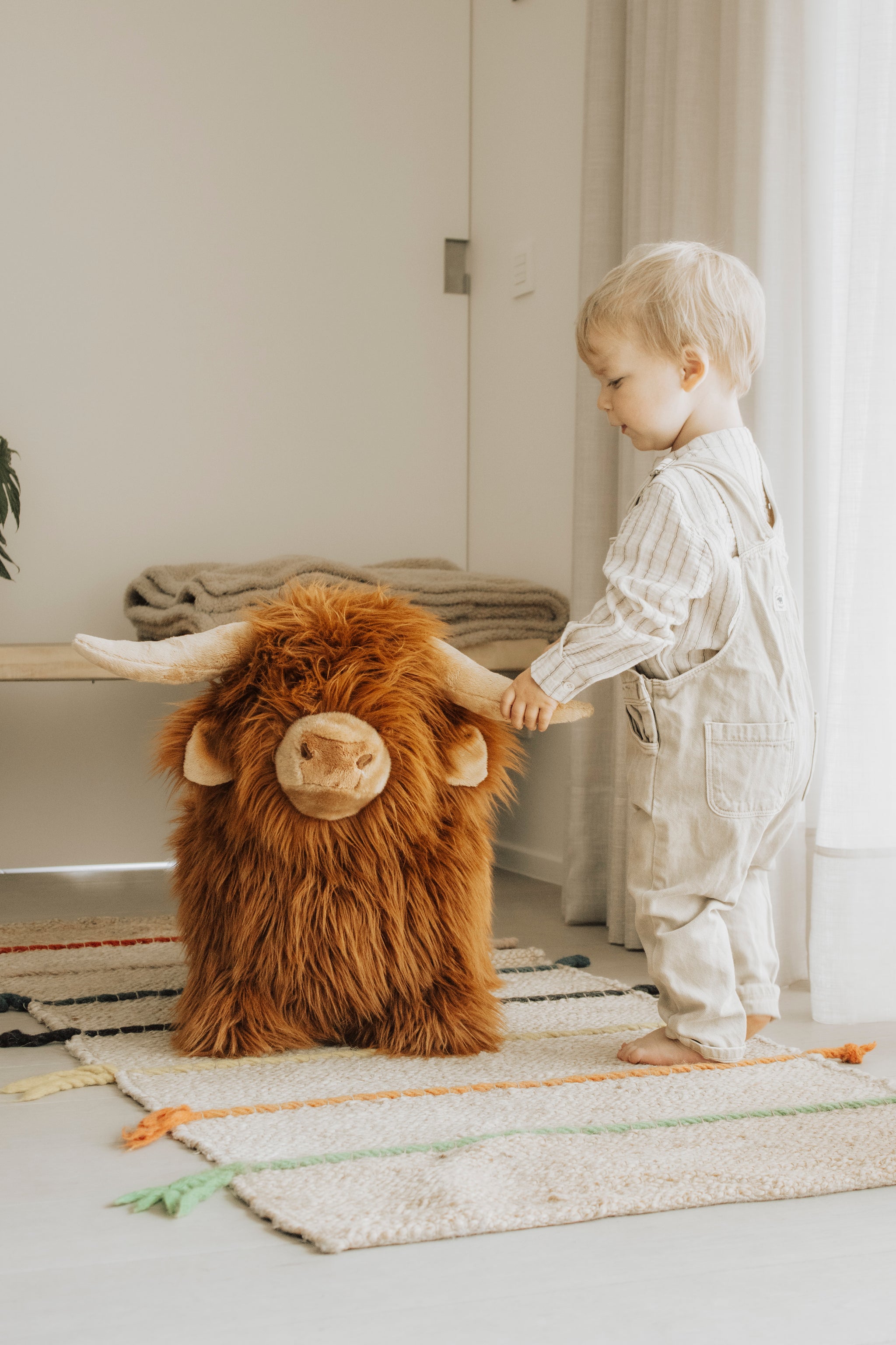 Zachte, stuiterende Highland Cow