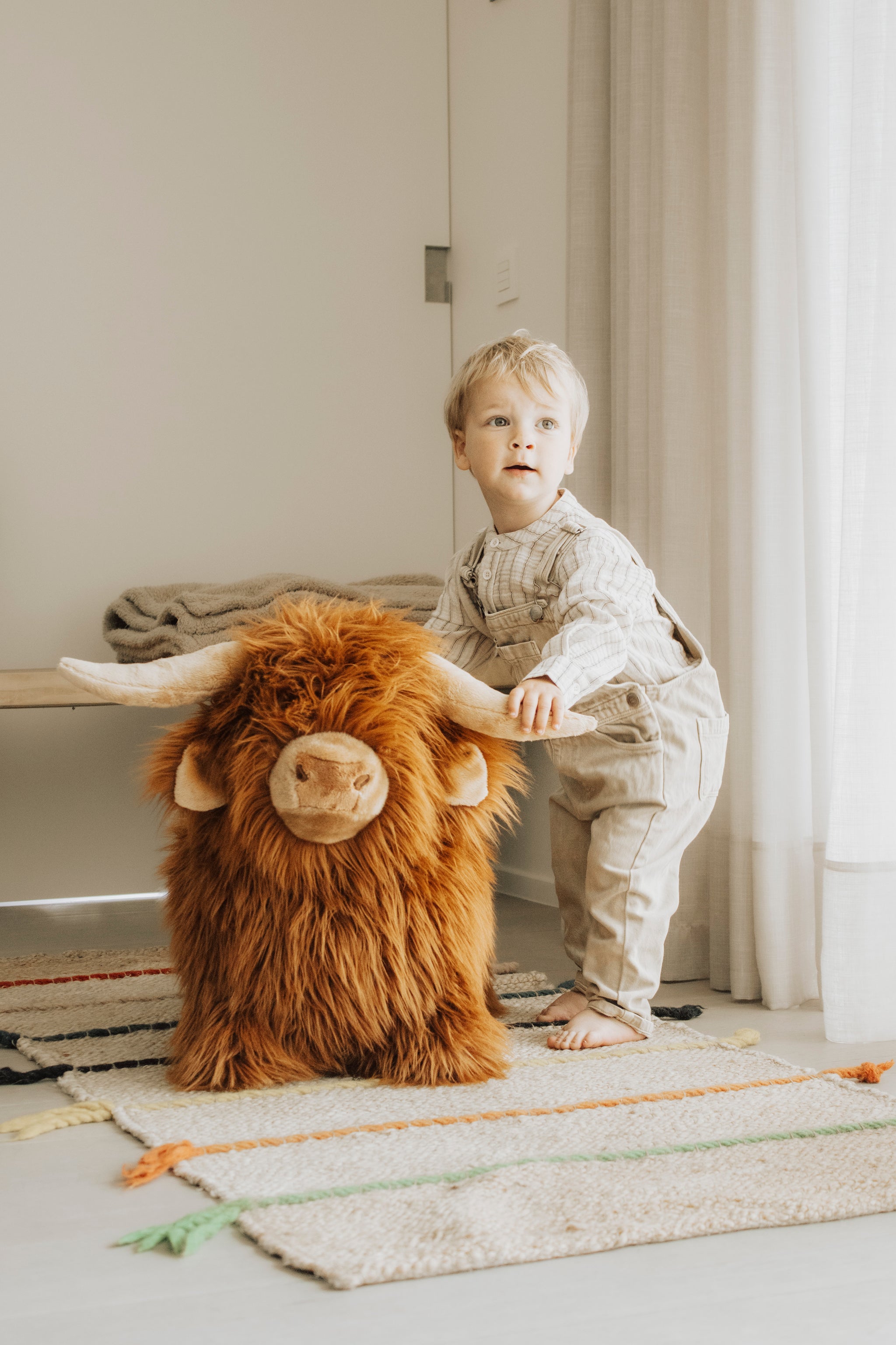 Zachte, stuiterende Highland Cow