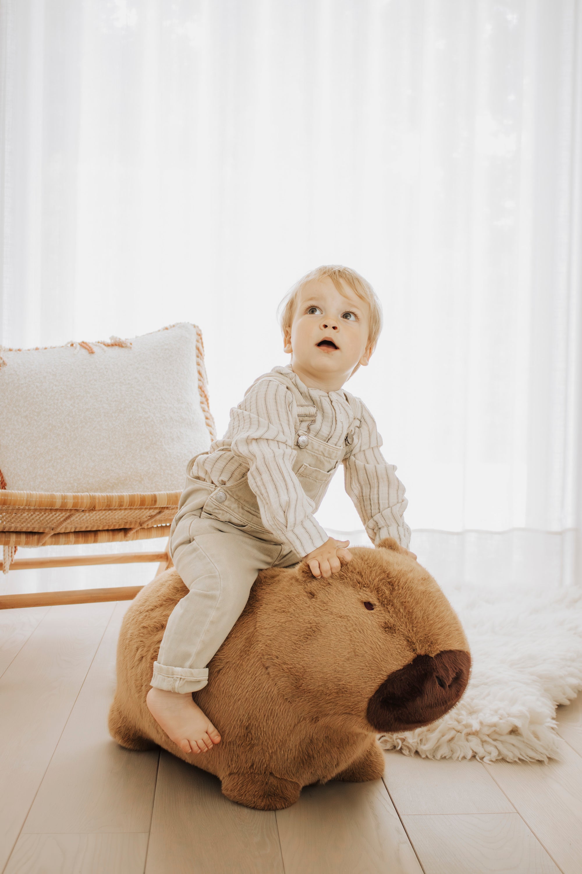 Zachte, stuiterende capibara