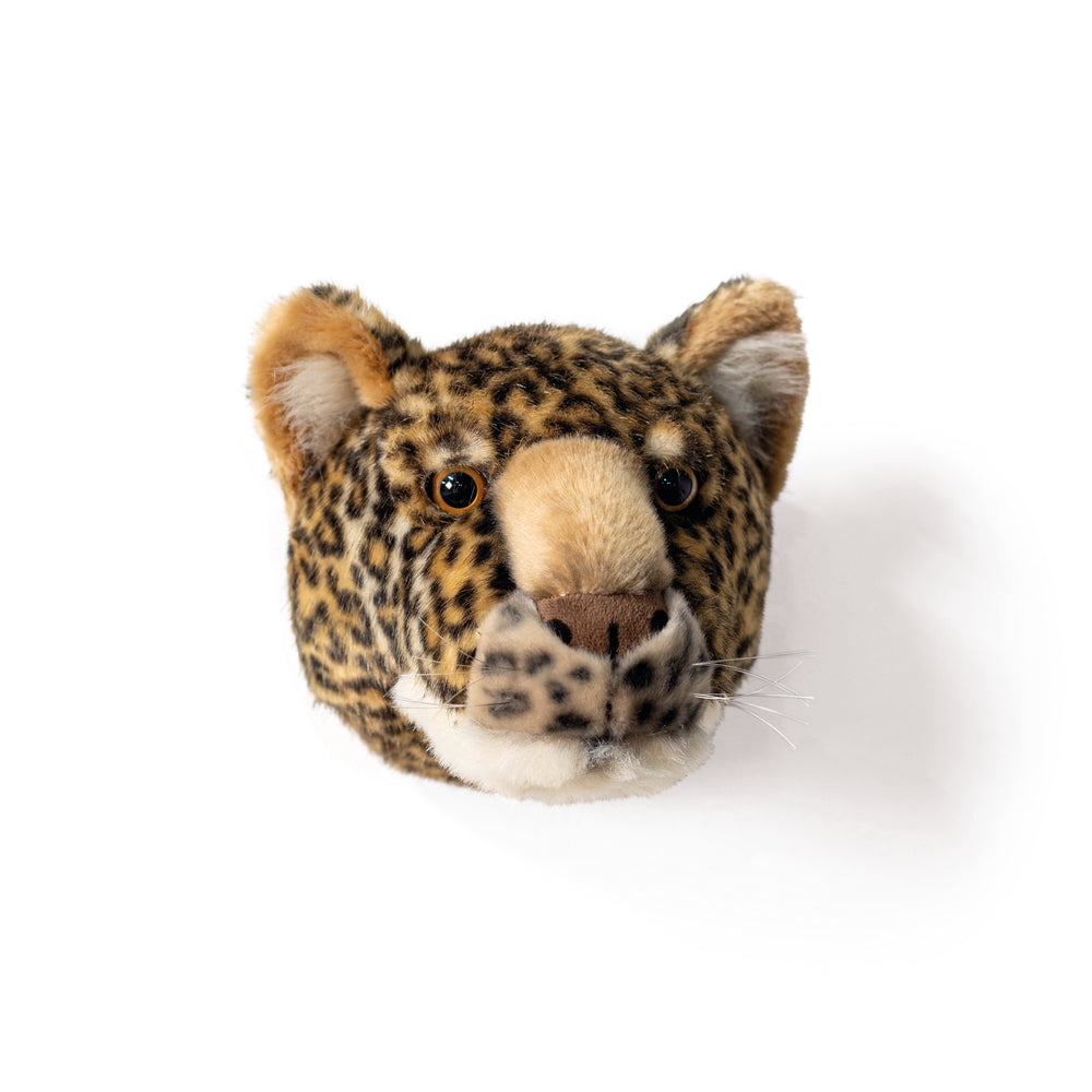 Charlie the Leopard - Medium Head