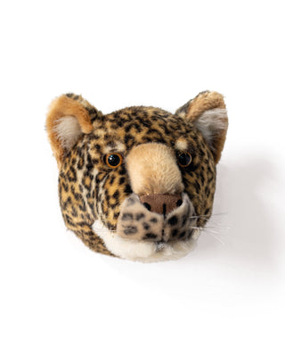 Charlie the Leopard - Medium Head