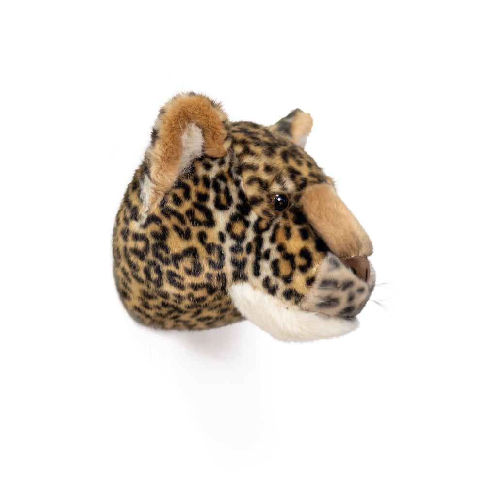 Charlie the Leopard - Medium Head