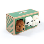Coffret d'ours