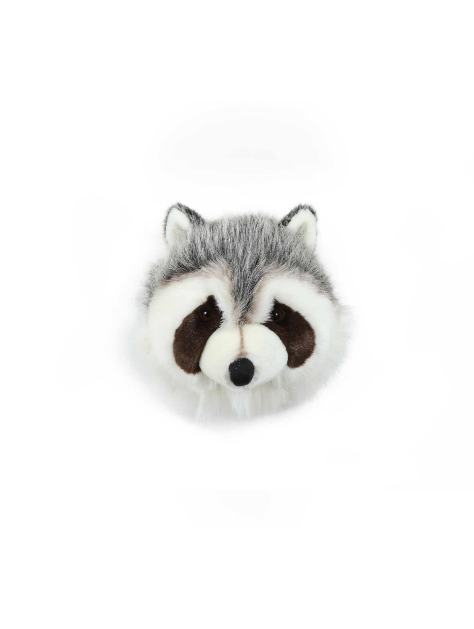 Josh the Raccoon - Medium Head – Wild & Soft